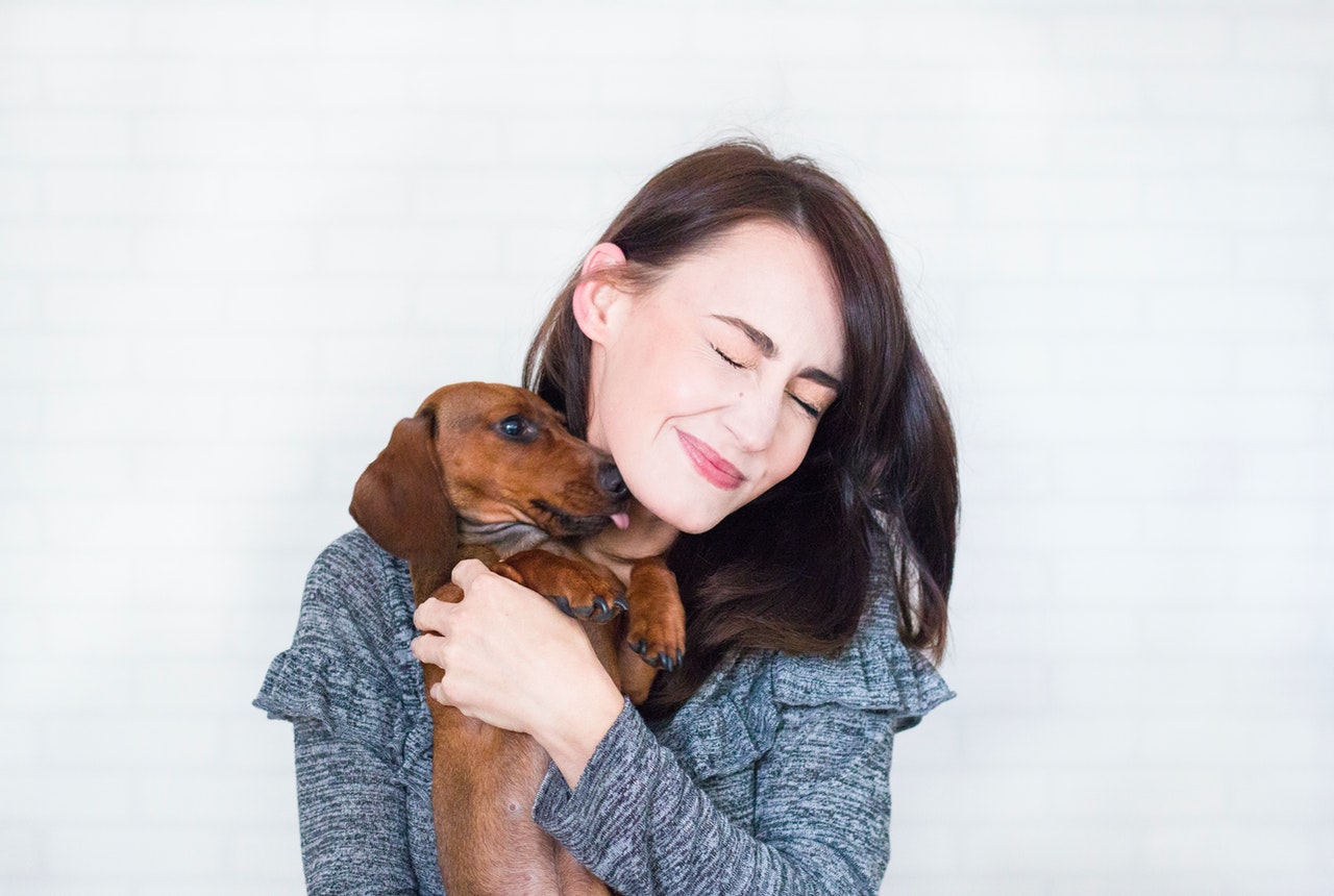 Foto Perro Salchicha mujer